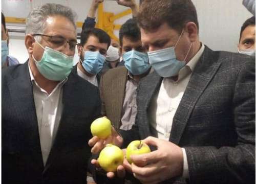 آغاز توزیع میوه شب عید در کرمان/ استاندار: کمبود نداریم و قیمت‌ بالا نمی‌رود